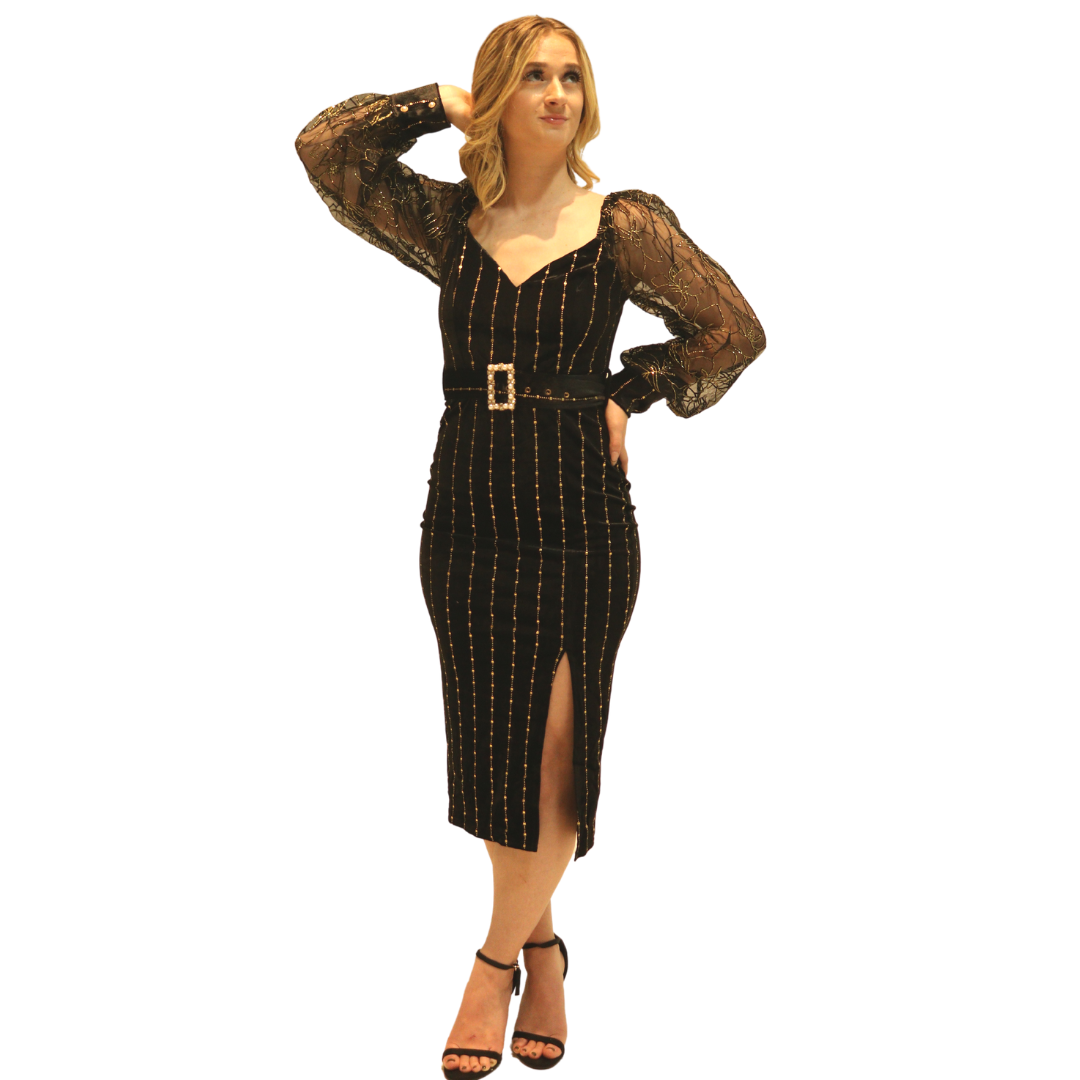 Renaissance Dress